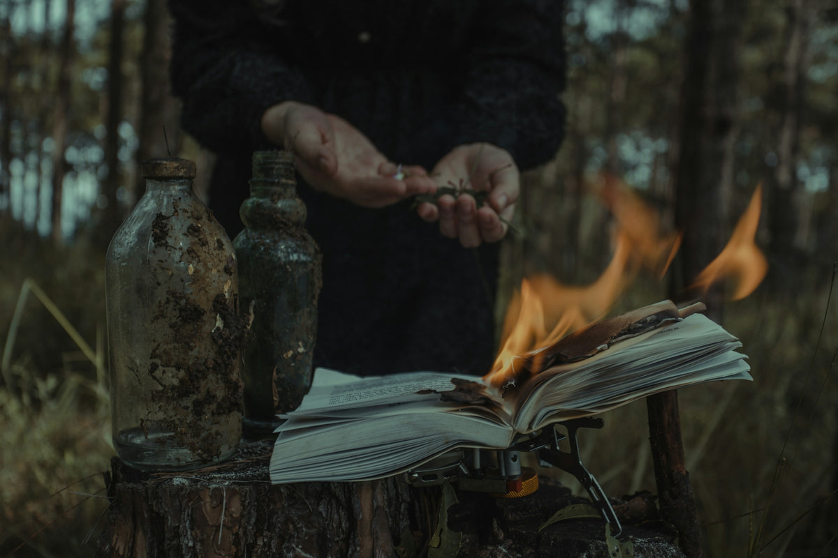 a person standing over a book on a stump in the woods