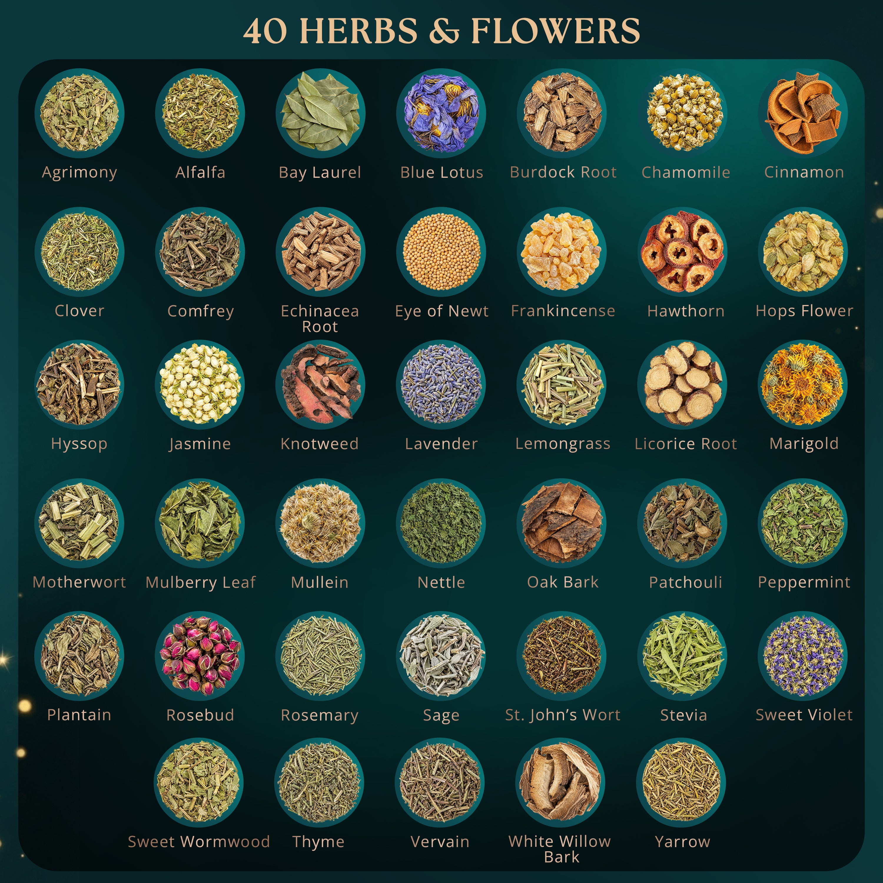 40 PCS Dried Herbs