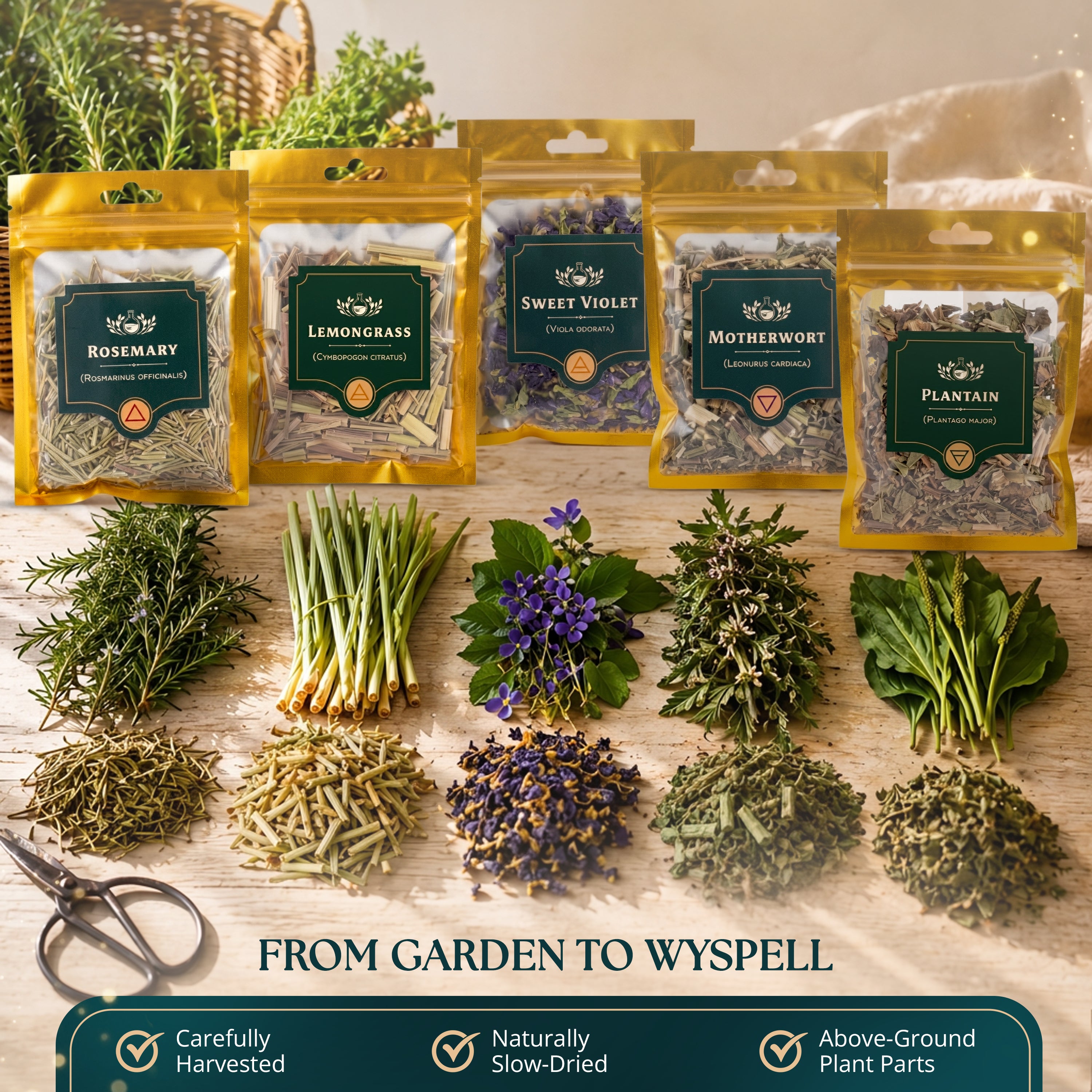40 PCS Dried Herbs