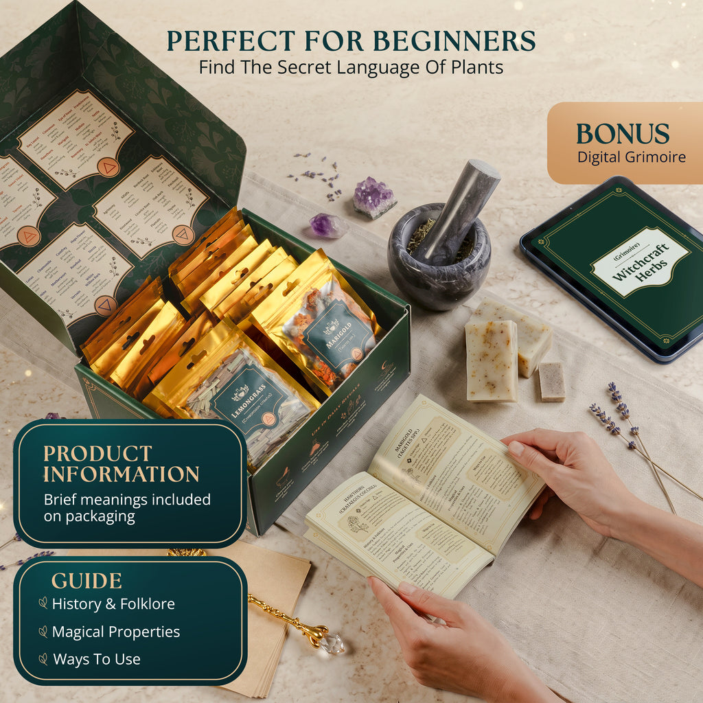 40 PCS Dried Herbs